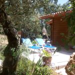 3d5aa904-474f-41fa-8d90-2836eedf6c78.c10