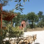 86c8add4-4f1c-4794-9f0c-5bdcf28fd358.c10