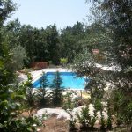 e59b3d5c-83ef-41c8-b38a-a7ec3adf4299.c10